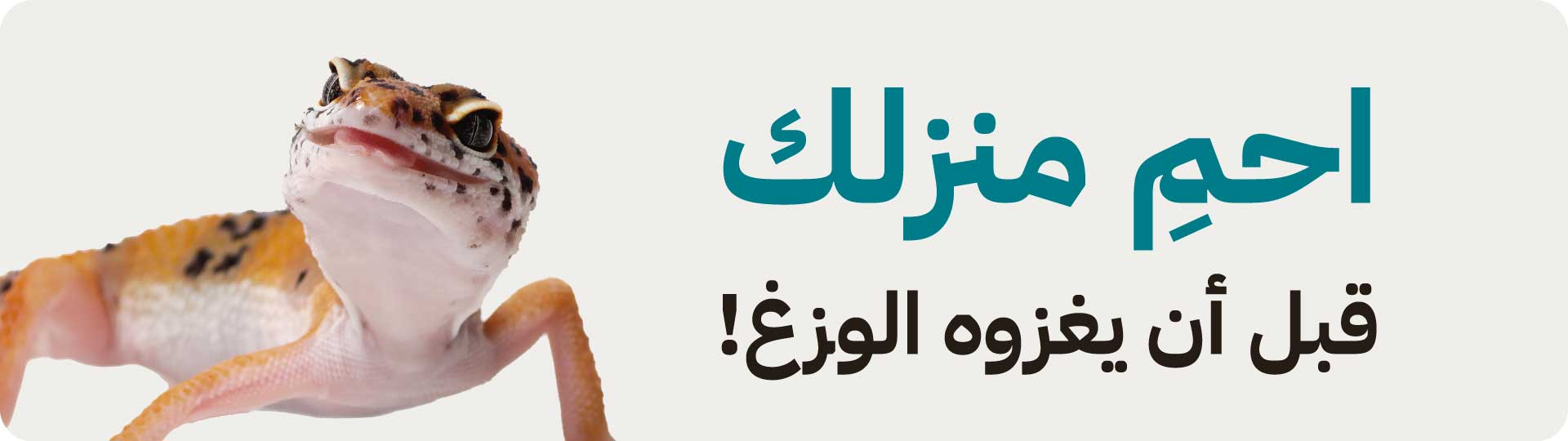 اجراءات وقائية لمكافحة الوزغ بجدة