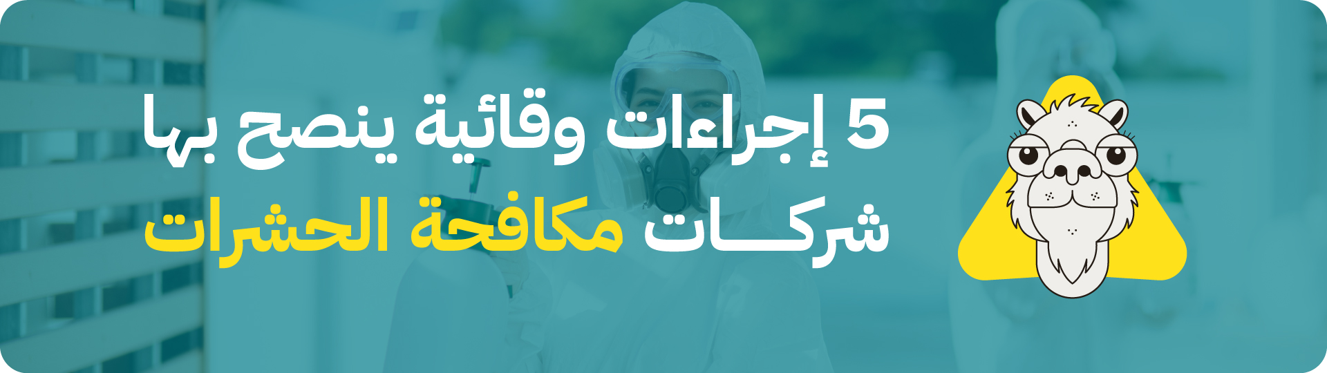 5 إجراءات وقائية تنصح بها شركة مكافحة حشرات بجدة