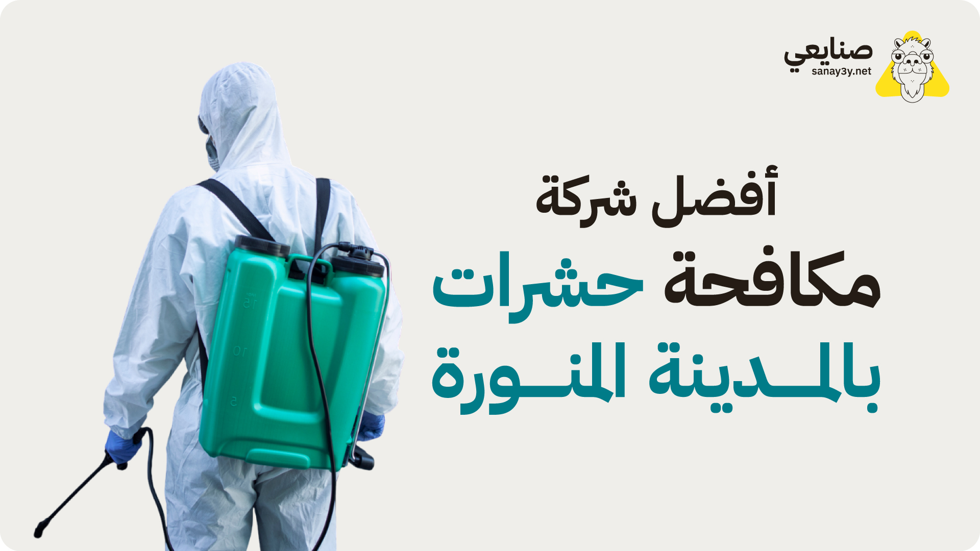 أفضل شركة مكافحة حشرات بالمدينة المنورة