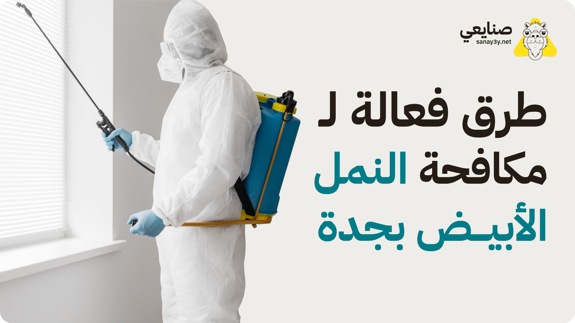 طرق فعالة لمكافحة النمل الابيض بجدة و رش الحشرات