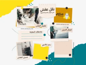 شركة نقل اثاث بالمدينة المنورة - متابعة ميدانية